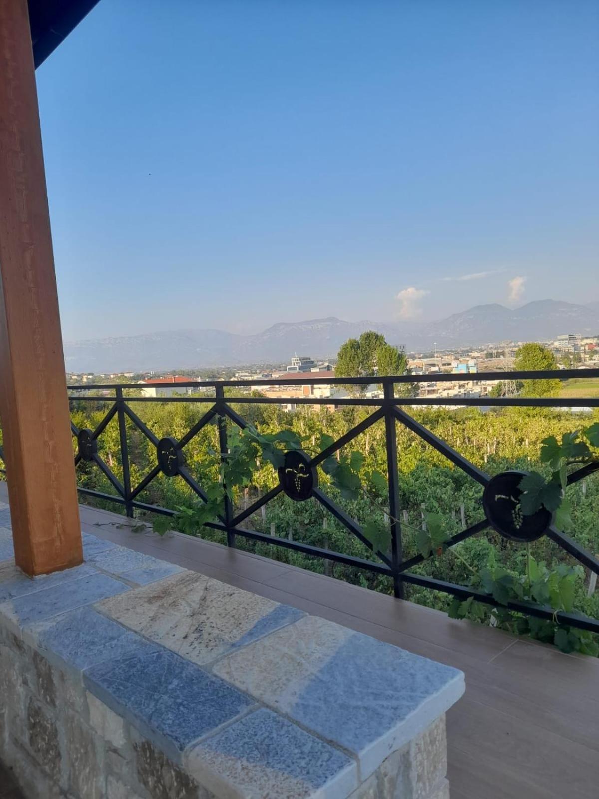 Vila Shehi Guesthouse And Winery Tirana Exterior foto